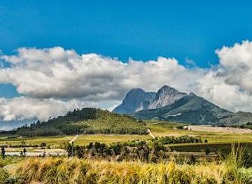 south-africa/cape-town/attraction/anura-vineyards