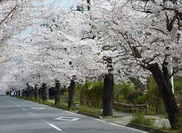 japan/musashi/attraction/nagatoro