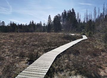 germany/harz-national-park/attraction/waldwandelweg