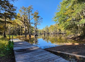 louisiana/caddo-lake-state-park/attraction/noah-tyson-park