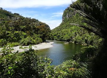 new-zealand/punakaiki/attraction/paparoa-track-services