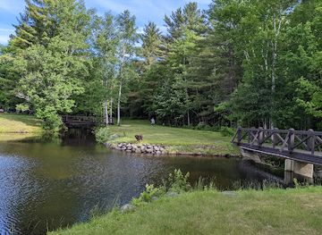 new-hampshire/mount-washington-valley/attraction/moose-brook-state-park