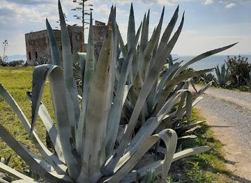 italy/maremma/attraction/tower-of-talamonaccio