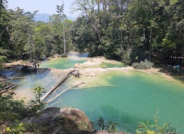 mexico/chiapas/palenque/attraction/minivans-to-the-waterfalls-roberto-barrios