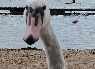 poland/masurian-lake-district/attraction/ksiazkochatka