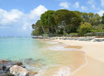 barbados/west-coast/attraction/folkestone-marine-park-visitors-centre