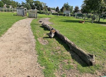 united-kingdom/lancashire/attraction/wild-discovery