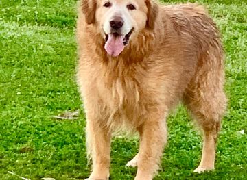 mississippi/gulfport/attraction/bachelor-island