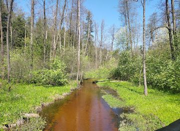 poland/roztocze-national-park/attraction/aleja-debowa