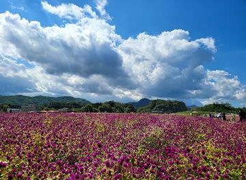 south-korea/incheon/attraction/nari-park