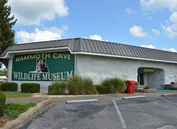 kentucky/mammoth-cave-national-park/attraction/mammoth-cave-wildlife-museum