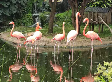 Zoológico de Cali