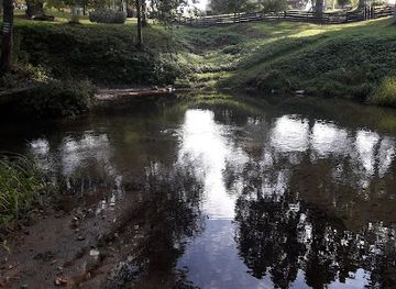 lithuania/dzukija-national-park/attraction/brasta