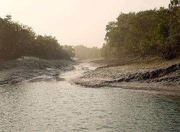 bangladesh/sundarbans-national-park/attraction/ar-natural-place