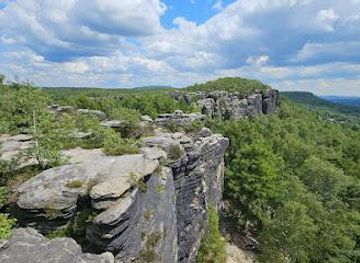 germany/dresden/attraction/tiske-steny