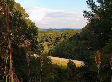 mississippi/tombigbee-national-forest/attraction/twentymile-bottom-overlook