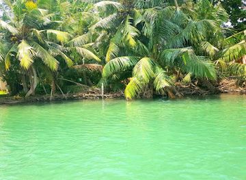 sri-lanka/hikkaduwa/attraction/mandrovs-lagoon-boat-tours