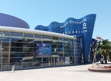 france/montpellier/attraction/planet-ocean-world