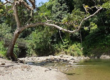 trinidad-and-tobago/mayaro/attraction/shark-river