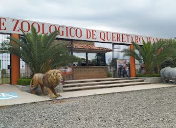 mexico/queretaro/attraction/zoo-queretaro-wameru