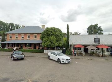 australia/southern-highlands/attraction/australia-s-oldest-camellia-tree