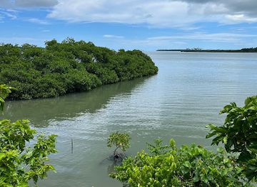 tonga/kotu/attraction/captain-cook-landing-site