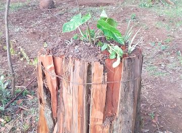 kenya/lake-bogoria/attraction/tarambas-caves-nyuenob-baramut