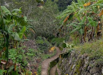 philippines/sagada/attraction/mt-ampacao