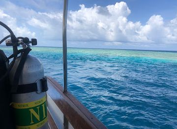 maldives/kaafu-atoll/attraction/wreck-asdhoo