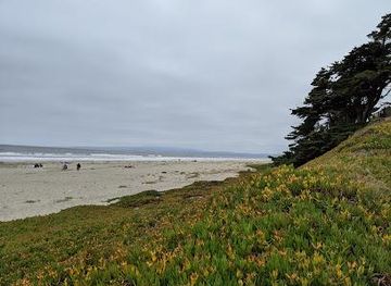 california/campbell/attraction/sunset-state-beach