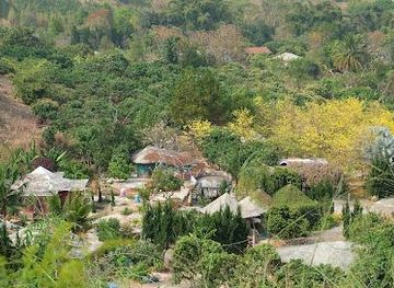 thailand/chiang-mai/attraction/pong-yaeng