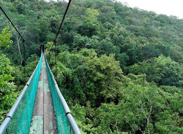 guatemala/flores/attraction/ixpanpajul