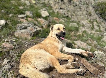 armenia/noravank-monastery/attraction/missis-gampr