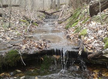 kentucky/mammoth-cave-national-park/attraction/big-hollow-trailhead