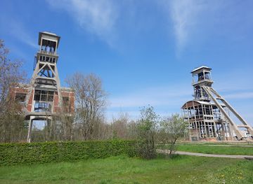netherlands/limburg-province/attraction/mechelse-heide