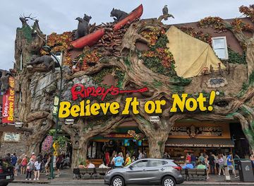 florida/orlando-theme-parks/attraction/ripley-s-believe-it-or-not