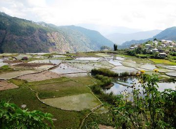 philippines/sagada/attraction/aguid-rice-terraces