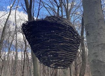 switzerland/ascona/attraction/artinbosco