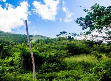 antigua-and-barbuda/barbuda/attraction/body-ponds-nature-park