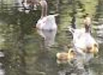 spain/cuenca/attraction/parque-vial-el-paraiso