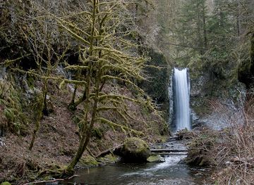 oregon/cascade-mountains/attraction/wiesendanger-falls