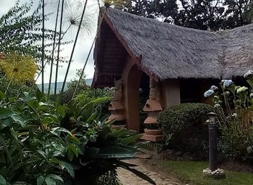 madagascar/atsinanana/attraction/ampefy-bon-plan