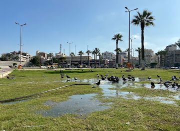 egypt/port-said/attraction/sahat-al-hammam-port-said