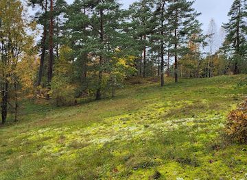 estonia/panga-cliff/attraction/lihulinn
