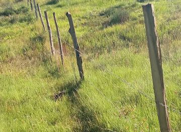 kenya/elgeyo-escarpment/attraction/kiplolok-carbon-dioxide-springs