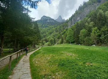 italy/alta-valtellina/attraction/foresta-dei-bagni-di-masino