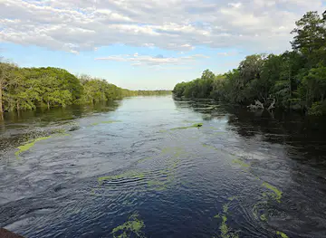 Nature Coast Trail - Suwannee River Bridge
