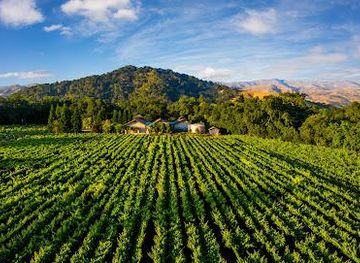 california/martinez/attraction/bell-wine-cellars