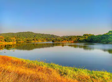 NGAPALI DAM