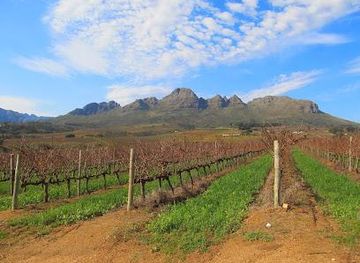 south-africa/cape-town/attraction/vinehopper-wine-tours